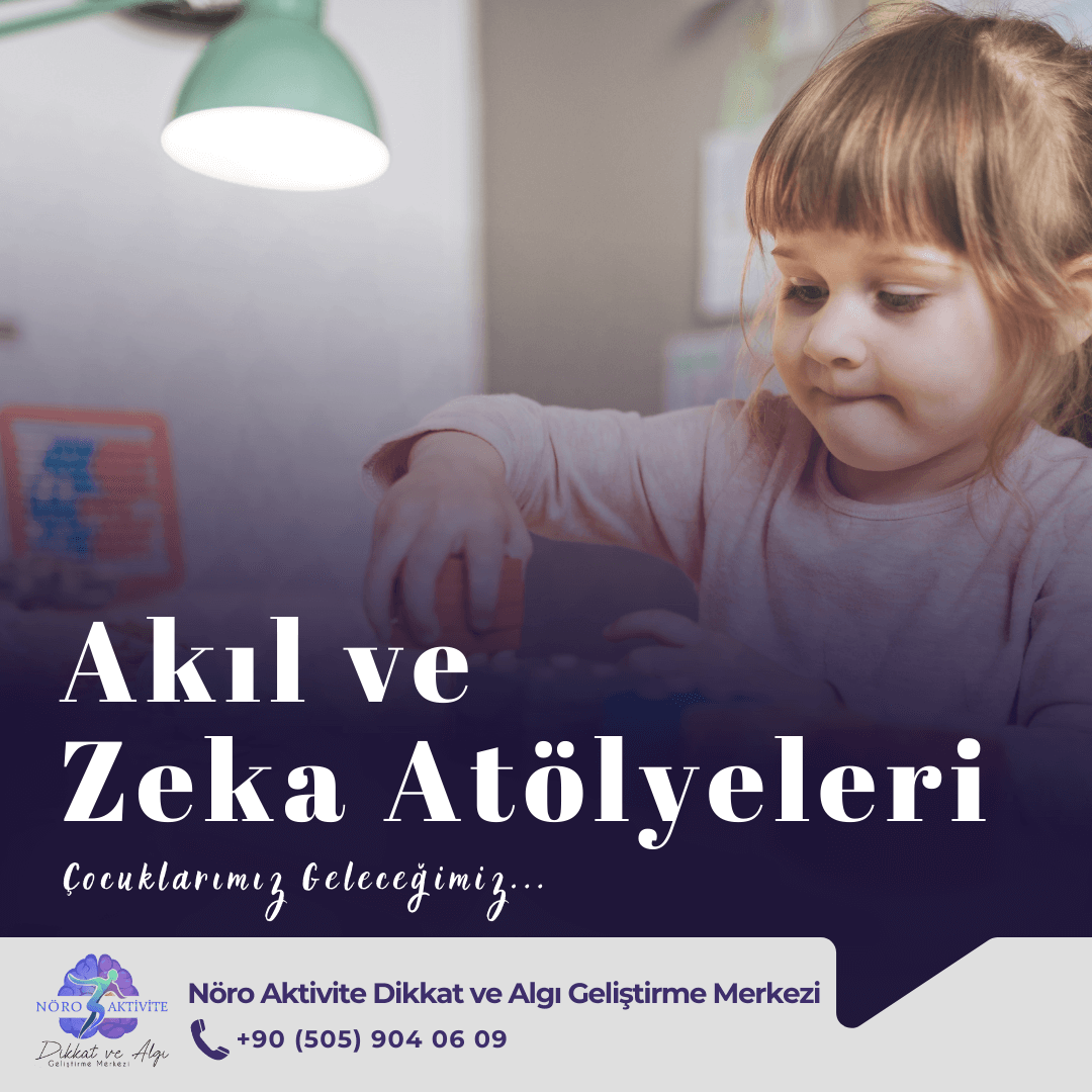 Akıl ve Zeka Atölyeleri